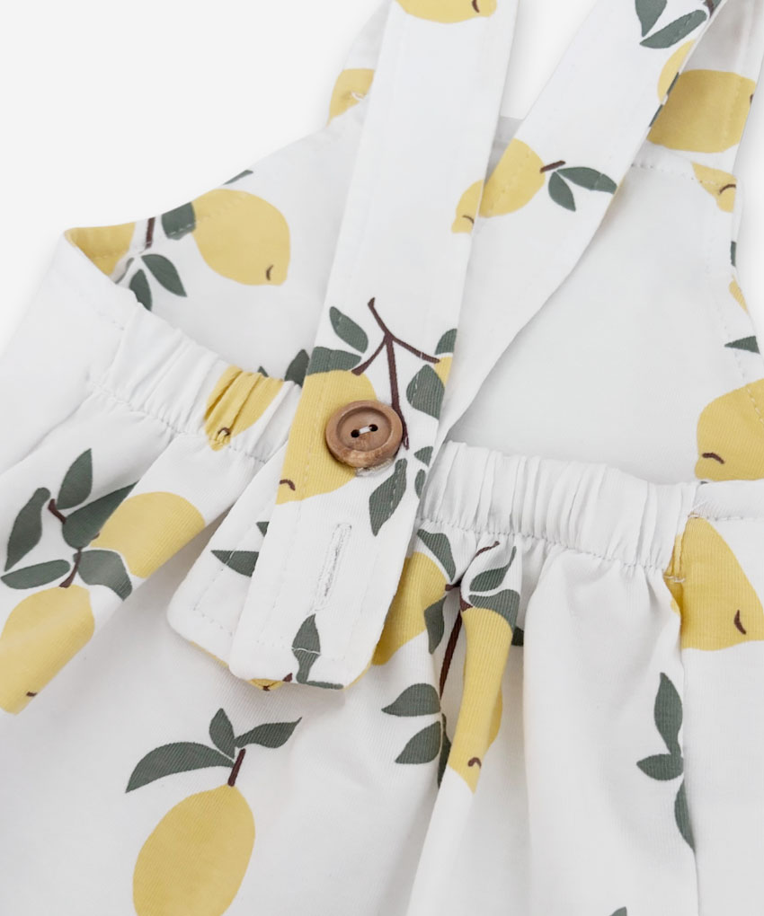 romper limones detalle